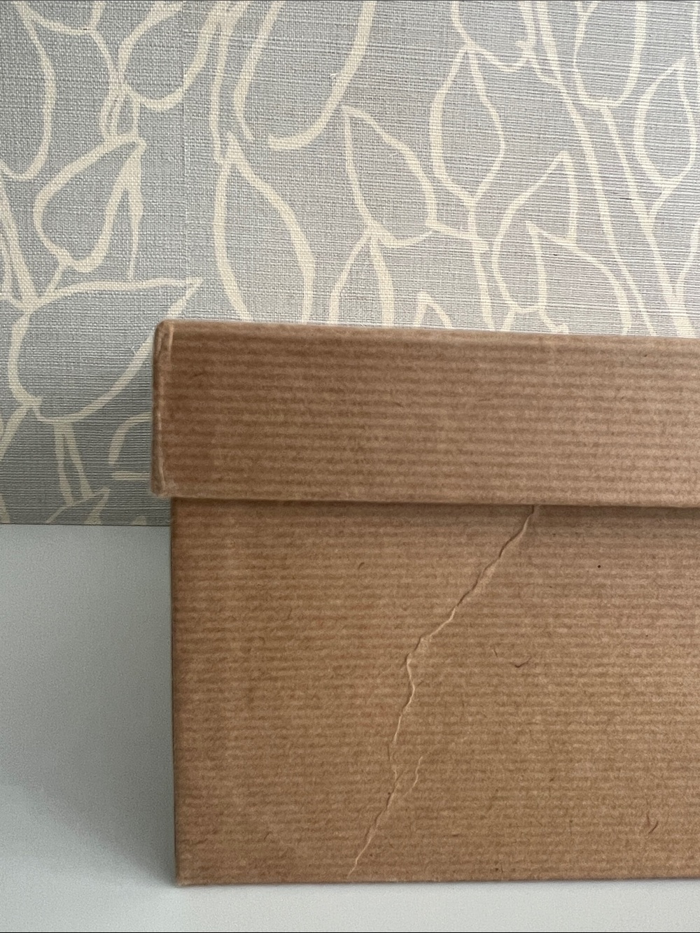 Christian Louboutin Empty Shoe Box - Picture 2 of 4